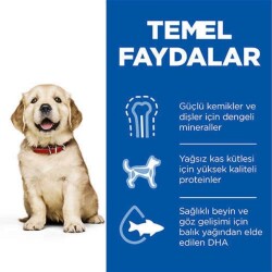 Hill's SCIENCE PLAN Büyük Irk Tavuklu Yavru Köpek Maması 2,5 kg - 3