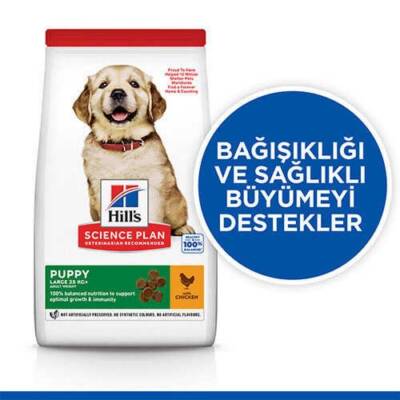 Hill's SCIENCE PLAN Büyük Irk Tavuklu Yavru Köpek Maması 2,5 kg - 2