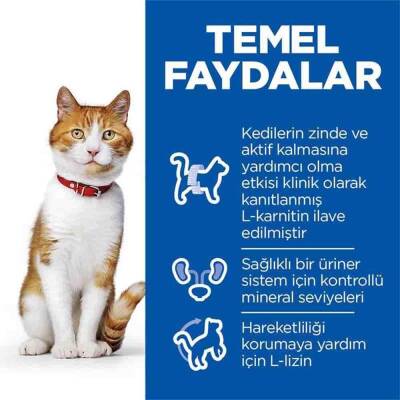 Hill's SCIENCE PLAN Kısırlaştırılmış Yetişkin Somonlu Kedi Maması 13 kg + 2 kg - 3