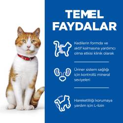 Hill's SCIENCE PLAN Kısırlaştırılmış Yetişkin Tavuklu Kedi Maması 8 + 2 kg - 2