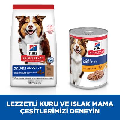 Hill's SCIENCE PLAN +7 Yaşlı Orta Irk Kuzulu ve Pirinçli Köpek Maması 12 kg + 2 kg - 3