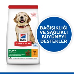 Hill's SCIENCE PLAN Büyük Irk Tavuklu Yavru Köpek Maması 14,5 kg - 2