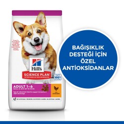 Hill's SCIENCE PLAN Yetişkin Küçük ve Mini Irk Tavuklu Köpek Maması 1,5 kg - 2
