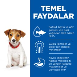 Hill's SCIENCE PLAN Tavuklu Küçük & Minyatür Irk Yavru Köpek Maması 3 kg - 3