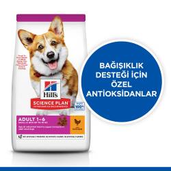 Hill's SCIENCE PLAN Tavuklu Küçük ve Mini Irk Yetişkin Köpek Maması 3 kg - 2