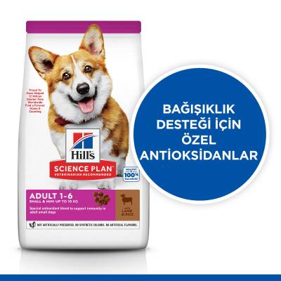 Hill's SCIENCE PLAN Yetişkin Küçük ve Mini Irk Kuzulu ve Pirinçli Köpek Maması 6 kg - 2