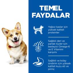 Hill's SCIENCE PLAN Yetişkin Küçük ve Mini Irk Kuzulu ve Pirinçli Köpek Maması 6 kg - 5