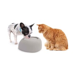 Imac Pet Fountaın Kedi ve Köpekler İçin Filtreli Otomatik Su kabı 2 lt Gri - Imac
