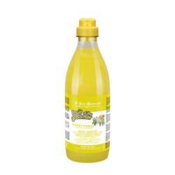 Iv San Bernard Kaşıntıya Karşı Zencefil & Mürverli Kedi ve Köpekler İçin Şampuan 500 Ml - Iv San Bernard