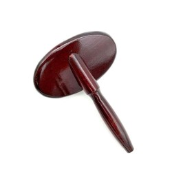 Iv San Bernard Kedi ve Köpek Bakım Fırçası Oval - 2