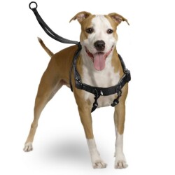 Karlie Easy Walker Göğüs Tasma 31 X 39 cm Medium - Karlie