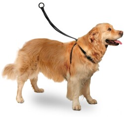 Karlie Easy Walker Göğüs Tasma 40 X 58 cm Large - Karlie