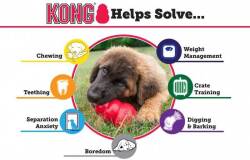 Kong Classic Köpekler İçin Isırma Oyuncağı L - 2
