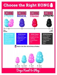Kong Çok Amaçlı Isırma Yavru Köpek Oyuncağı M - 5