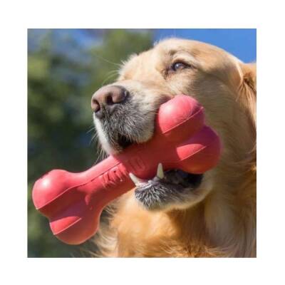 Kong Goodie Bone Kemik Şeklinde Çok Amaçlı Köpek Oyuncağı L - 3