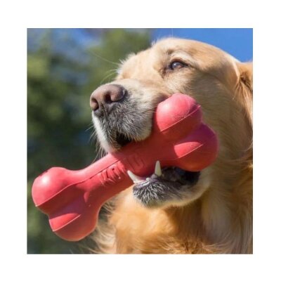 Kong Goodie Bone Kemik Şeklinde Çok Amaçlı Köpek Oyuncağı L - 3