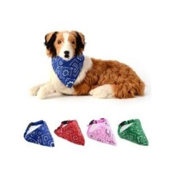 Lionpet Fularlı Köpek Boyun Tasması Karışık Renk S/M - 1