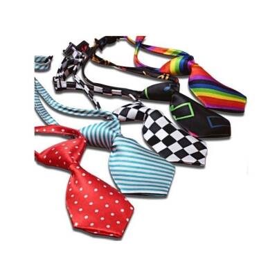 Lionpet Kravat Şeklinde Kedi ve Köpek Boyun Tasması - 1