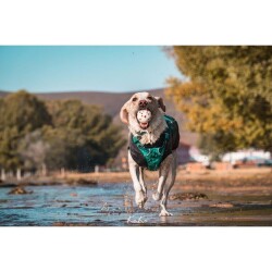 M-Pets Bloom Ball Parçalanmaz Top Köpek Oyuncağı 7 cm - 4