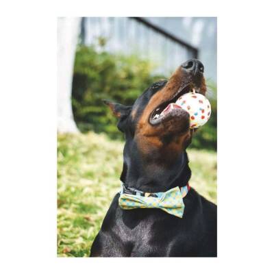 M-Pets Bloom Ball Parçalanmaz Top Köpek Oyuncağı 7 cm - 3