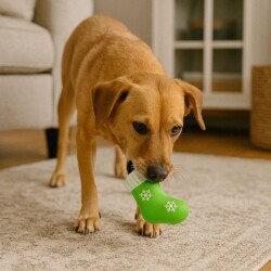 M-Pets Christmas Yeşil Çorap Latex Köpek Oyuncağı 13 cm - 2