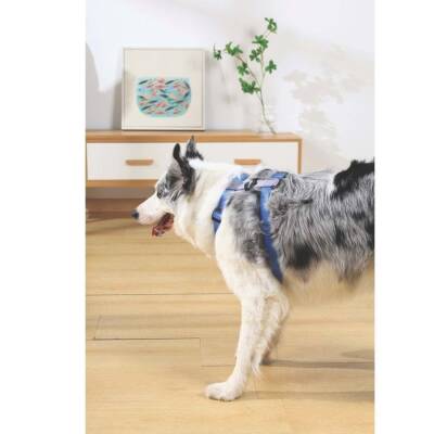 M-Pets Gentle Köpek Göğüs Tasması Mavi M - 3