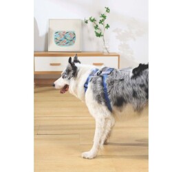 M-Pets Gentle Köpek Göğüs Tasması Mavi XS - 3