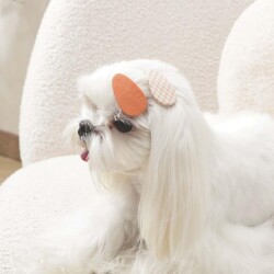 M-Pets Glam Desenli Kedi ve Köpekler İçin Aksesuar Toka Turuncu - 3