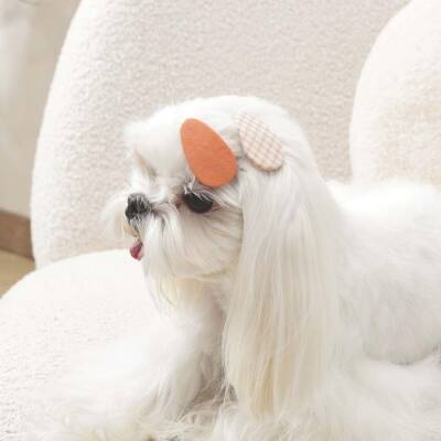 M-Pets Glam Desenli Kedi ve Köpekler İçin Aksesuar Toka Turuncu - 3