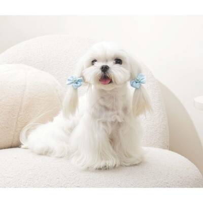 M-Pets Glam Fiyonklu Kedi ve Köpekler İçin Aksesuar Toka Mavi - 3