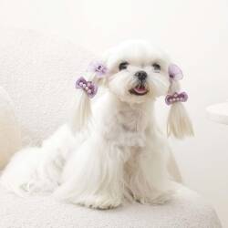 M-Pets Glam Fiyonklu Kedi ve Köpekler İçin Aksesuar Toka Mor - 3