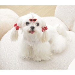 M-Pets Glam Gözlük ve Fiyonklu Kedi ve Köpekler İçin Aksesuar Toka Kırmızı - 3