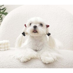 M-Pets Glam Kalpli Kedi ve Köpekler İçin Aksesuar Toka Kırmızı Siyah - 3