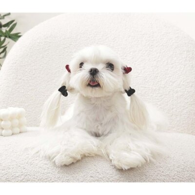 M-Pets Glam Kalpli Kedi ve Köpekler İçin Aksesuar Toka Kırmızı Siyah - 3