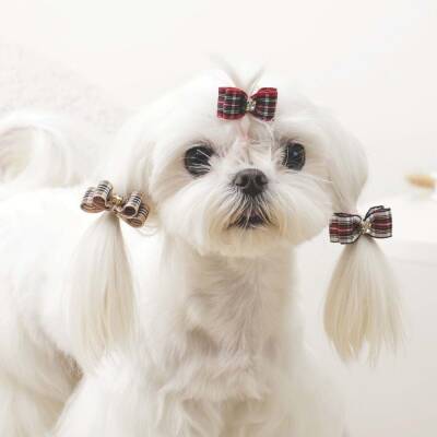 M-Pets Glam Kareli Fiyonklu Kedi ve Köpekler İçin Aksesuar Toka Kırmızı - 3