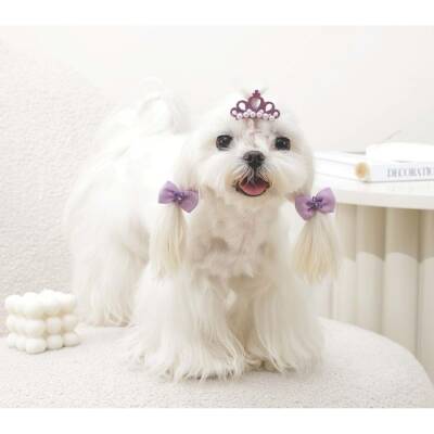 M-Pets Glam Taç ve Fiyonklu Kedi ve Köpekler İçin Aksesuar Toka Mor - 3