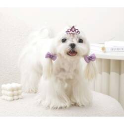 M-Pets Glam Taç ve Fiyonklu Kedi ve Köpekler İçin Aksesuar Toka Mor - 3