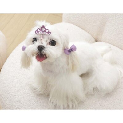 M-Pets Glam Taç ve Fiyonklu Kedi ve Köpekler İçin Aksesuar Toka Mor - 4