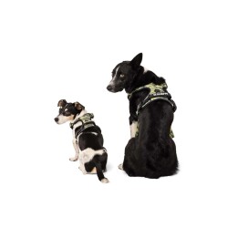 M-Pets Hıkıng Reflektörlü Kamuflaj Desenli Soft Köpek Göğüs Tasması S - 3