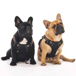 M-Pets Hıkıng Reflektörlü Soft Köpek Göğüs Tasması Turuncu M - 3