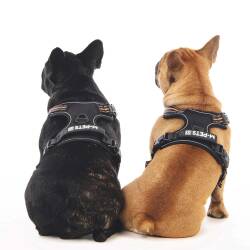 M-Pets Hıkıng Reflektörlü Soft Köpek Göğüs Tasması Turuncu M - 4