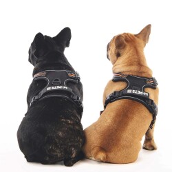 M-Pets Hıkıng Reflektörlü Soft Köpek Göğüs Tasması Turuncu S - 4