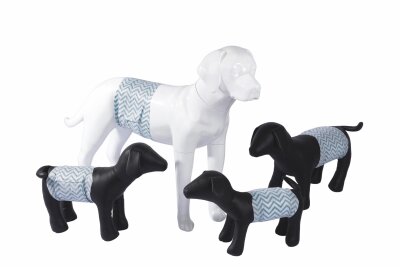 M-Pets Karbonlu Diapers Erkek Köpek Külotu Xxl 18 Adet - 4