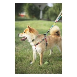 M-Pets Urban Style Freestyle Köpek Göğüs Tasması L - 3