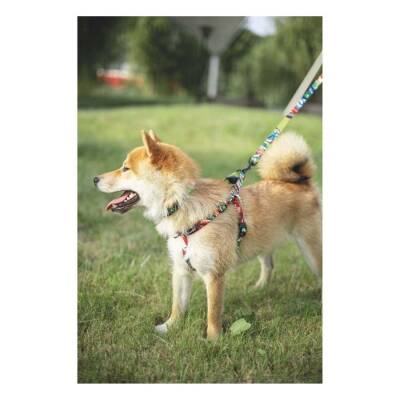 M-Pets Urban Style Freestyle Köpek Göğüs Tasması L - 3