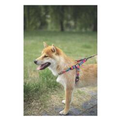 M-Pets Urban Style Jazz Stripes Köpek Göğüs Tasması M - 3