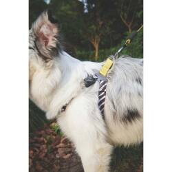 M-Pets Wild Safari Harness Köpek Göğüs Tasması XS - 4
