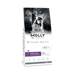 Molly Düşük Tahıllı Hypoallergenic Kuzulu ve Yaban Mersinli Orta ve Büyük Irk Yetişkin Köpek Maması 2 Kg - Molly