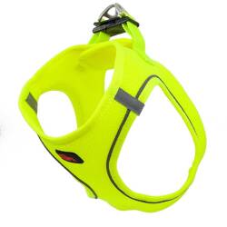 Natura Air Net Köpek Göğüs Tasması XL Mavi - Natura