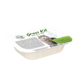 Natura Kedi Çimi - Natura